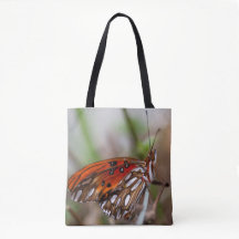 Kalifornien Bukt Fritillary Butterfly