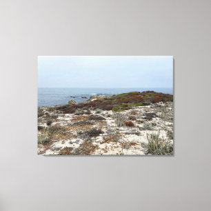 Kalifornien Canvas: Asilomar Canvastryck