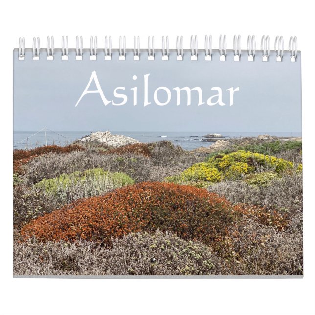 Kalifornien Canvas: Asilomar Kalender (Omslag)