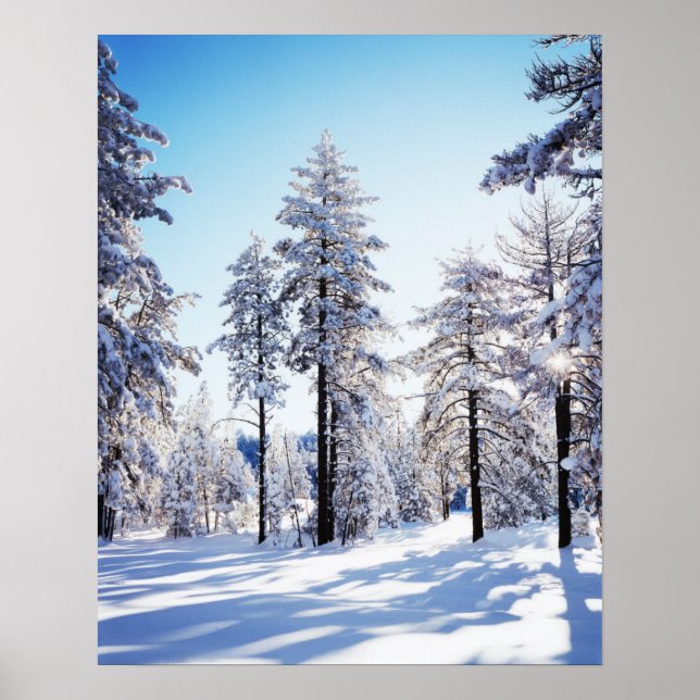 Kalifornien, Cleveland National Forest, Laguna 2 Poster (Framsidan)