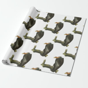 Kalifornien Condor vid Audubon Presentpapper