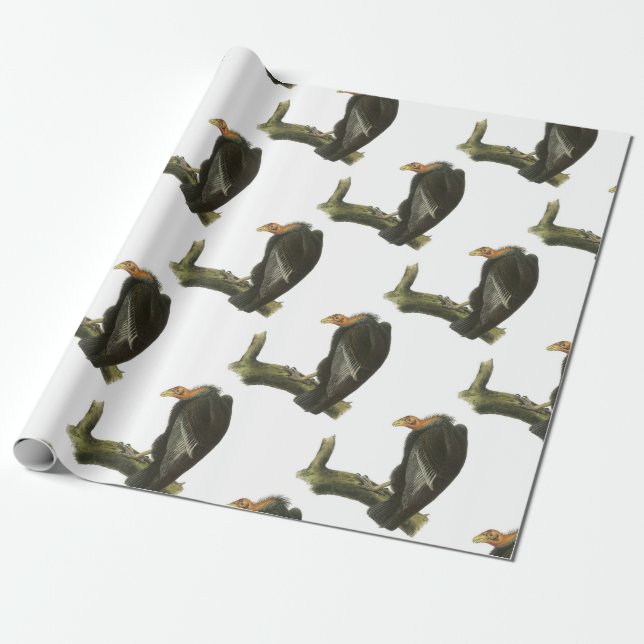 Kalifornien Condor vid Audubon Presentpapper (Utrullad)