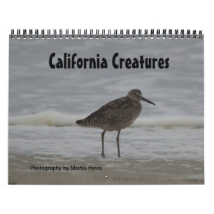 Kalifornien Creatures Calendar (Sept-Aug) Kalender