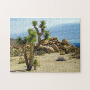 Kalifornien Desert Succulents, Sten och Clear Himl Pussel