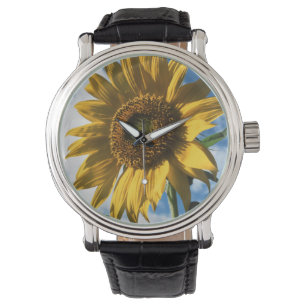 Kalifornien, En Mammut Solros (Helianthus) 2 Armbandsur