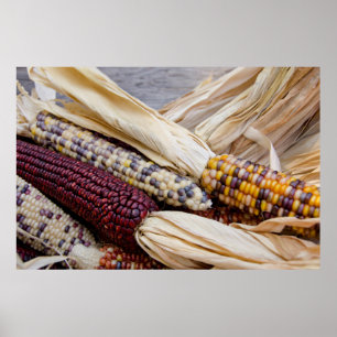 Kalifornien. Fall Harvest Colorful Indian Maj Poster