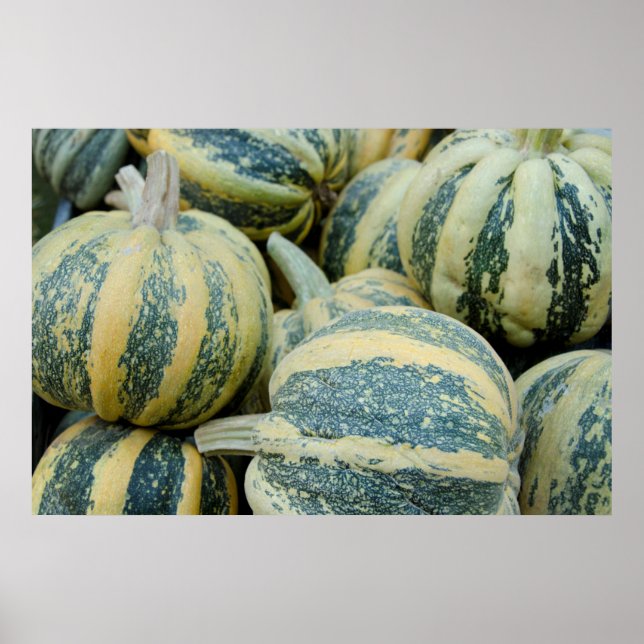 Kalifornien. Fall Harvest in California Poster (Framsidan)