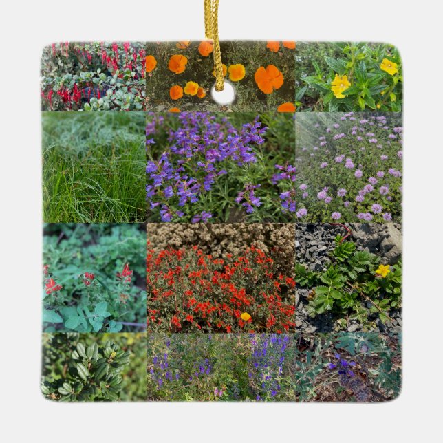 Kalifornien Färg 2020 Julgransprydnad Keramik (Framsida)