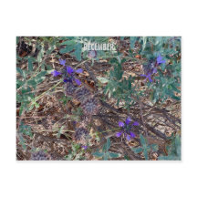 KALIFORNIEN FÄRG FIRAR: DECEMBER BREVKORT