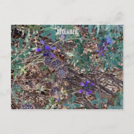 KALIFORNIEN FÄRG FIRAR: DECEMBER BREVKORT VYKORT