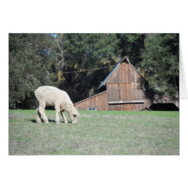 Kalifornien Farm Hälsningskort