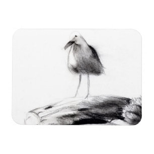 Kalifornien fiskmås 2012 magnet