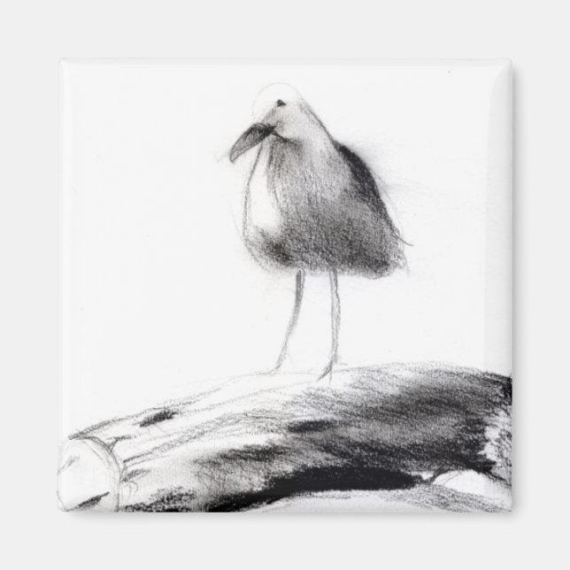 Kalifornien Fiskmås 2012 Magnet (Framsidan)