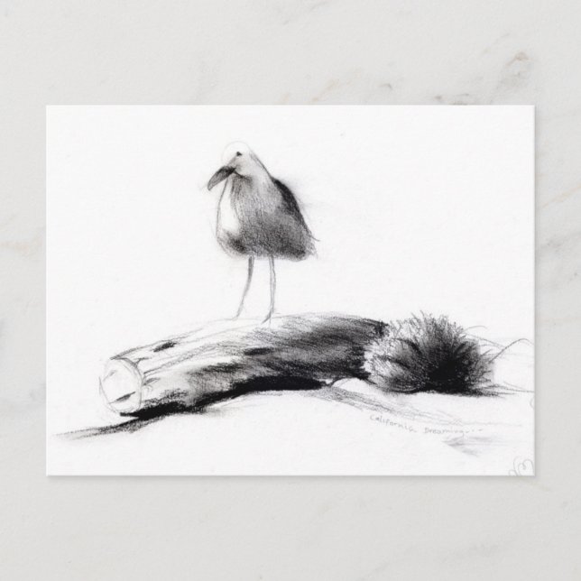 Kalifornien Fiskmås 2012 Vykort (Framsida)