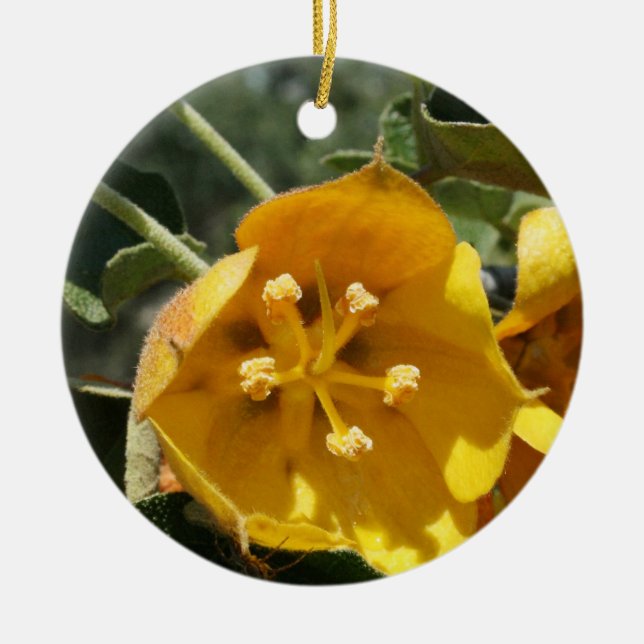 Kalifornien Flanell Bush Julgransprydnad Keramik (Framsidan)