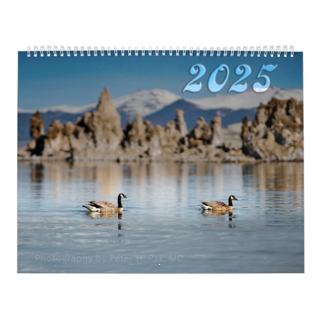 Kalifornien Flora och fauna 2025-kalender Kalender (Omslag)