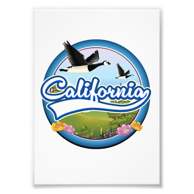Kalifornien Geese-logotypen Fototryck (Framsidan)