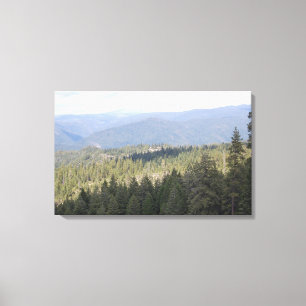 Kalifornien Gräs Träd fotografi Canvas