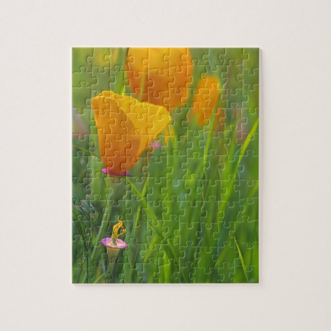 Kalifornien guldvallmo i grönt fält pussel (Vertikal)