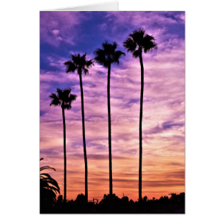Kalifornien Handflatan Träd Sunset Hälsningskort