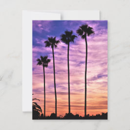Kalifornien Handflatan Träd Sunset Vykort