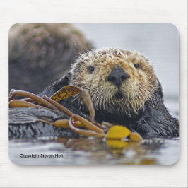 Kalifornien havsutter Mousepad Musmatta