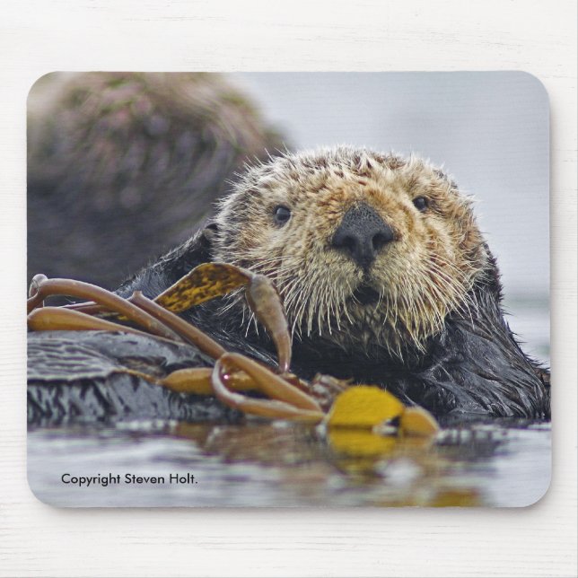 Kalifornien havsutter Mousepad Musmatta (Framsidan)