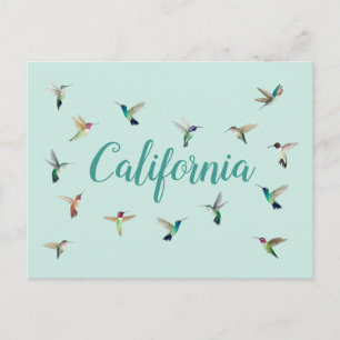 Kalifornien Hummingbird Vykort