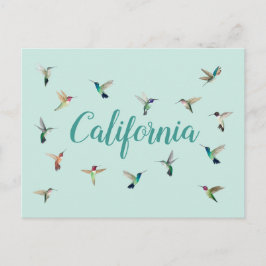 Kalifornien Hummingbird Vykort