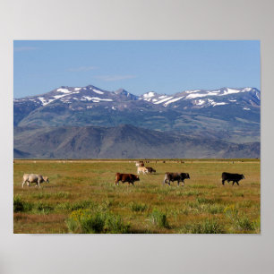 Kalifornien HWY 395 liggande Poster