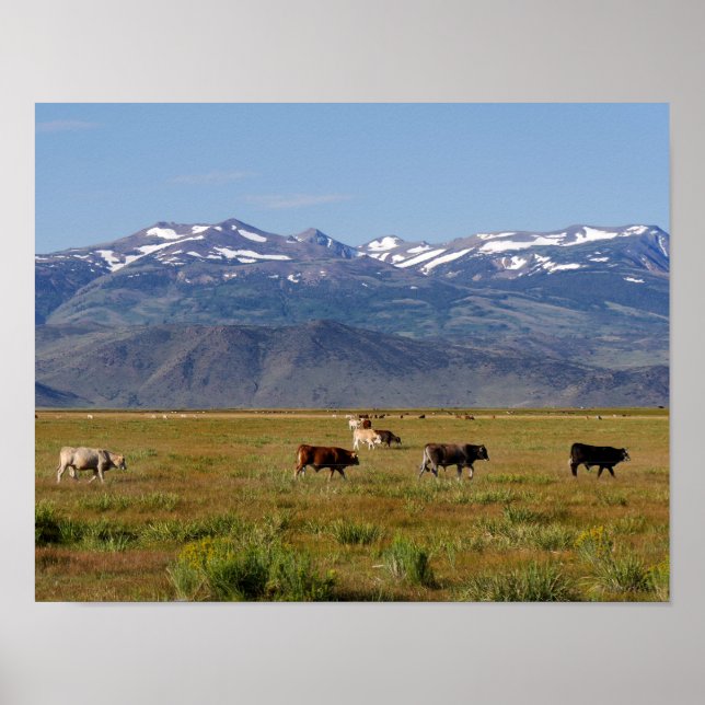 Kalifornien HWY 395 liggande Poster (Framsidan)
