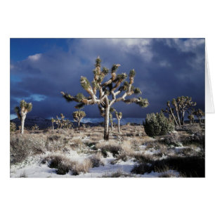 Kalifornien, Joshua Tree National Park Hälsningskort