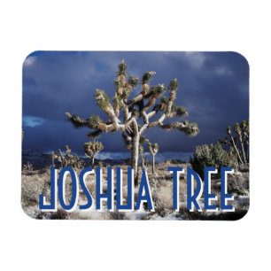 Kalifornien, Joshua Tree National Park Magnet