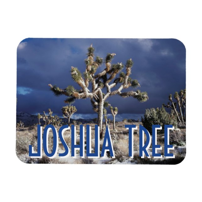 Kalifornien, Joshua Tree National Park Magnet (Horisontell)