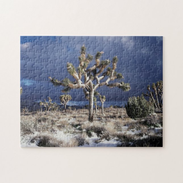 Kalifornien, Joshua Tree National Park Pussel (Horisontell)