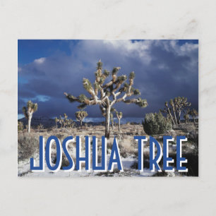 Kalifornien, Joshua Tree National Park Vykort