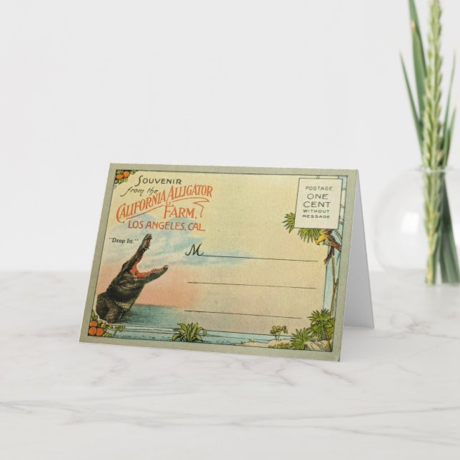 Kalifornien Krokodiler Kort (Framsida)