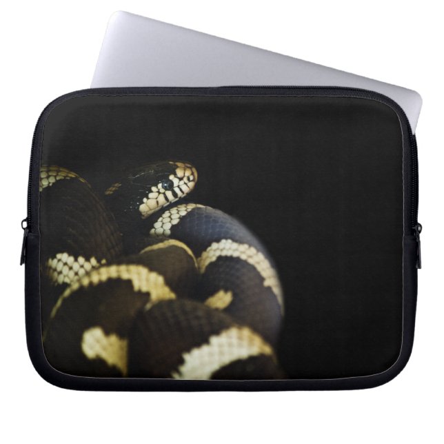 Kalifornien Kung Snake Laptop sleeve (Framsidan)