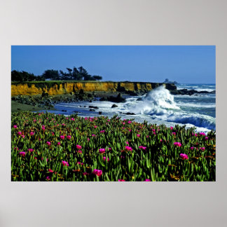 Kalifornien Kusten Flowers Poster