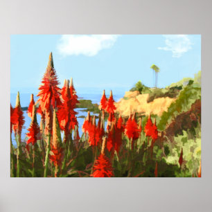 Kalifornien Kusten & Red Hett Poker Plants Poster