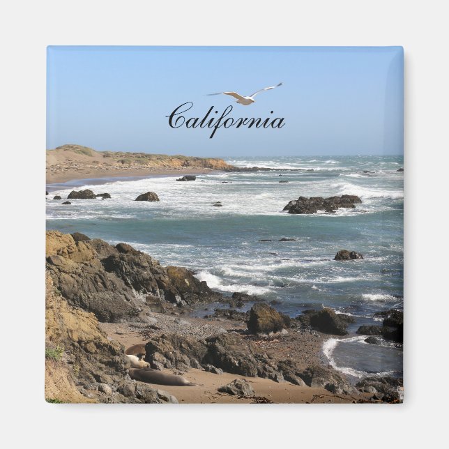 Kalifornien Magnet (Framsidan)