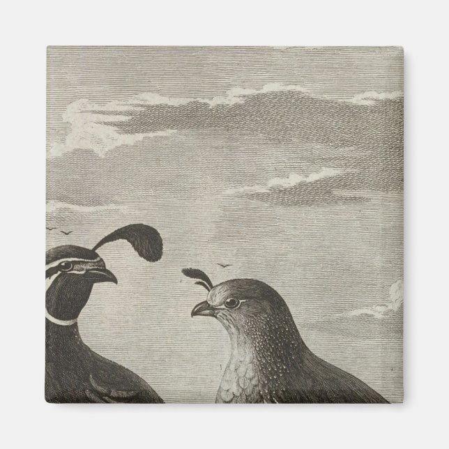 Kalifornien Magnet (Framsidan)