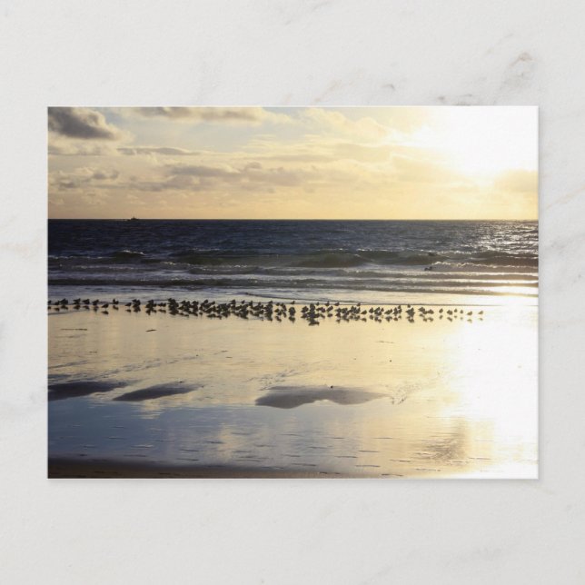 Kalifornien - Manhattan Beach. K Vykort (Framsida)