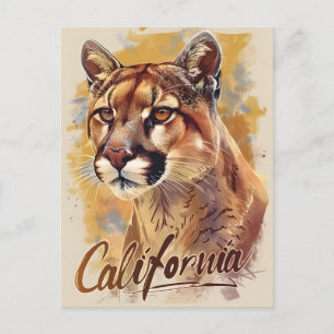 Kalifornien Mountain Lejon Cougar Porträtt Vykort