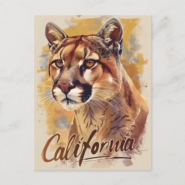 Kalifornien Mountain Lejon Cougar Porträtt Vykort (Framsida)