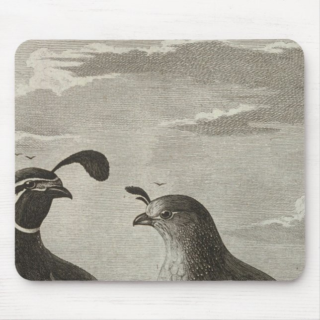 Kalifornien Musmatta (Framsidan)