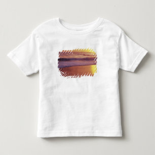 Kalifornien, nära Santa Cruz, Utsikt över strand v T Shirt