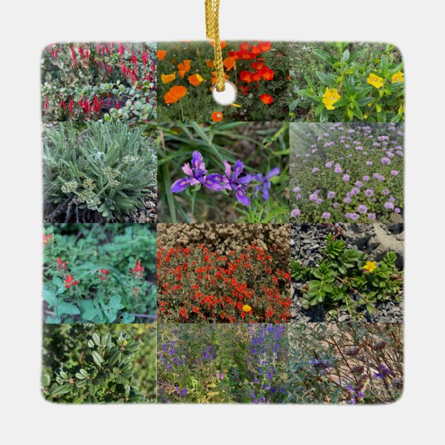 Kalifornien Native Färg 2020 Julgransprydnad Keramik (Framsida)