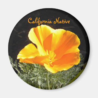 Kalifornien Native Magnet