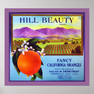 Kalifornien Oranges Fruit Advertisement Print Poster